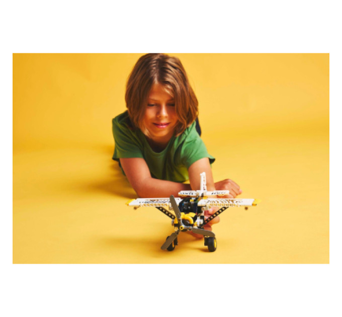 LEGO Конструктор LEGO Technic Буш-літак (42198)