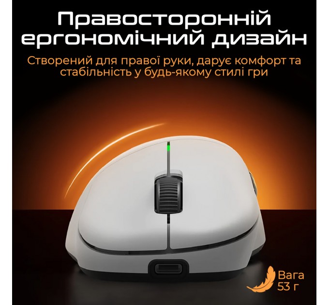 RAWM Миша бездротова RAWM ER21 Black