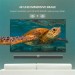 Ugreen Кабель мультимедійний Display Port to Display Port 5.0m V1.2 DP102 Ugreen (10213)