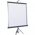 ATRIA Проекційний екран Atria TRM-NTSC-84D