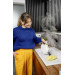 Karcher Пароочищувач Karcher SC 1 Multi Comfort (1.516-416.0)