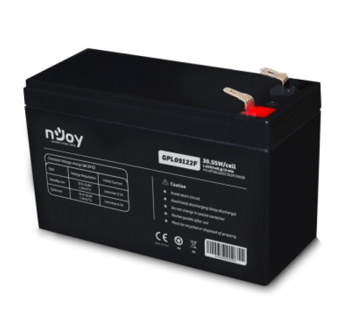 nJoy Аккумуляторная батарея Njoy GGPL09122F 12V 9AH (BTVACIUOCTA2FCN02B) AGM