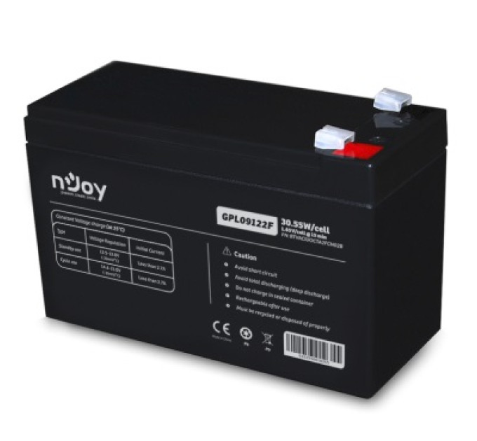 nJoy Аккумуляторная батарея Njoy GGPL09122F 12V 9AH (BTVACIUOCTA2FCN02B) AGM