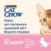 Purina Cat Chow Вологий корм для кішок Purina Cat Chow Kitten з індичкою та цукіні в желе 85г (7613036595001)