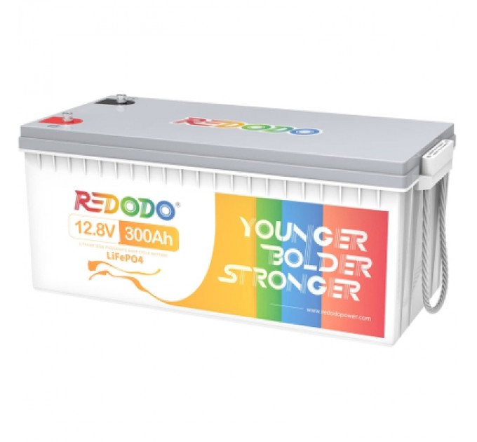 Redodo Батарея LiFePo4 Redodo 12.8V 300Ah , 3840Wh (Redodo-12.8V300)
