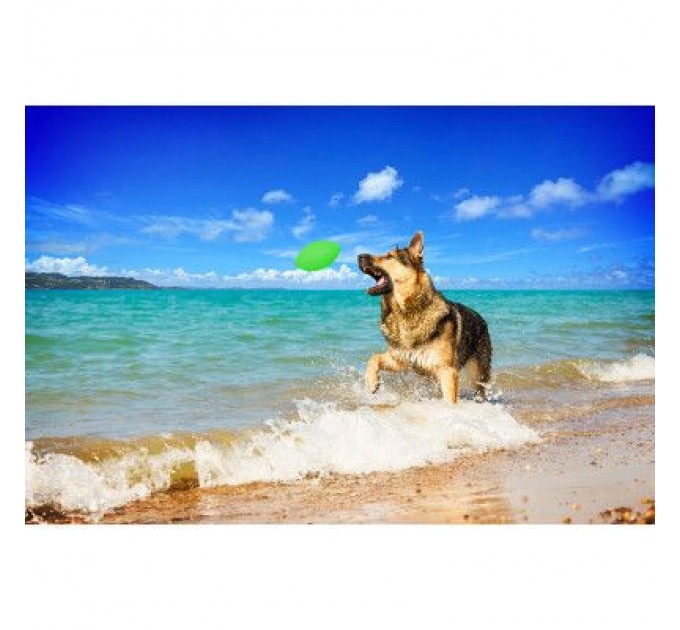 Collar Іграшка для собак Collar PitchDog м'яч для апорту d:9 см салатовий (62415)