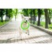 Collar Іграшка для собак Collar PitchDog Кільце для апортування 17 см салатове (62365)
