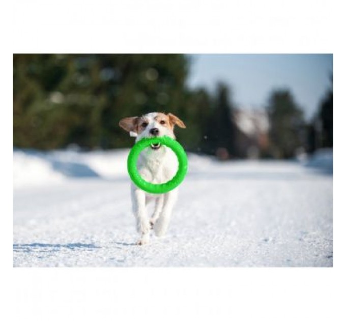 Collar Іграшка для собак Collar PitchDog Кільце для апортування 17 см салатове (62365)