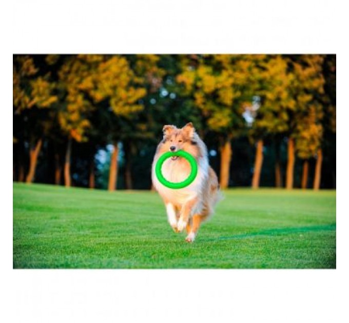 Collar Іграшка для собак Collar PitchDog Кільце для апортування 17 см салатове (62365)