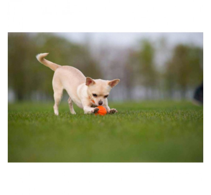 Liker Іграшка для собак Liker М'ячик 5 см (6298)