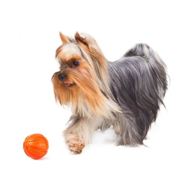 Liker Іграшка для собак Liker М'ячик 9 см (6295)