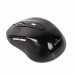 Мишка Gembird MUSW-6B-01-B Black (MUSW-6B-01)