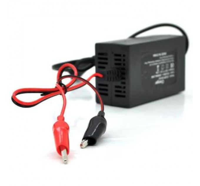 Merlion Мережевий зарядний пристрій для АКБ Merlion YT-CH-12200