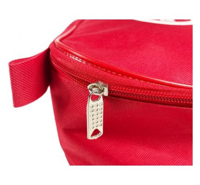 Poputchik Сумка для аптечки Poputchik 30 х 18 х 11 см (Ф-02-016-IS)