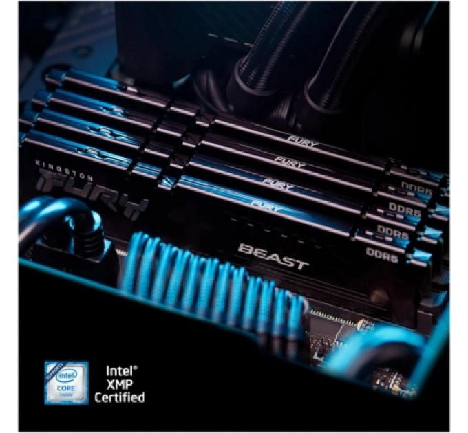 Kingston Fury (ex.HyperX) Модуль пам'яті для комп'ютера DDR5 128GB (2x64GB) 5600 MHz Beast Kingston Fury (ex.HyperX) (KF556C36BBEK2-128)