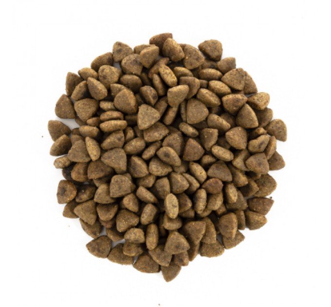 Brit Care Сухий корм для кішок Brit Care Cat GF Haircare Healthy and Shiny Coat 2 кг (8595602540884)