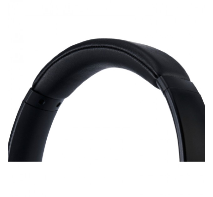 Panasonic Навушники Panasonic RB-M600B Black (RB-M600BG-K)