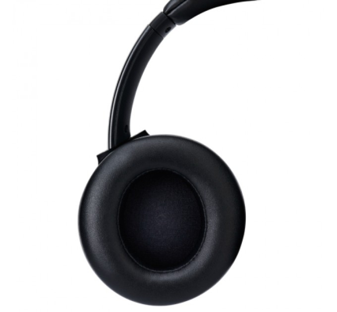 Panasonic Навушники Panasonic RB-M600B Black (RB-M600BG-K)