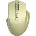 Canyon Мишка Canyon MW-15 Wireless Golden (CNE-CMSW15GO)