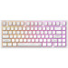 Dark Project Клавіатура Dark Project ALU81 Terra Nostra PBT RGB Mech G3MS Moonstone White (DPKB_NOSTRA_81_ANSI_WHITE_UA)