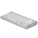 Dark Project Клавіатура Dark Project ALU81 Terra Nostra PBT RGB Mech G3MS Moonstone White (DPKB_NOSTRA_81_ANSI_WHITE_UA)