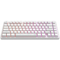 Dark Project Клавіатура Dark Project ALU81 Terra Nostra PBT RGB Mech G3MS Moonstone White (DPKB_NOSTRA_81_ANSI_WHITE_UA)