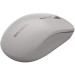 Canyon Мишка Canyon MW-12 Wireless/Bluetooth Grey (CNS-CMSW12DG)