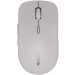 Canyon Мишка Canyon MW-12 Wireless/Bluetooth Grey (CNS-CMSW12DG)