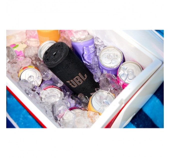 JBL Акустична система JBL Grip Black (JBLGRIPBLK)