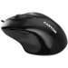 Canyon Мишка Canyon M-6 USB Black (CNE-CMS6)