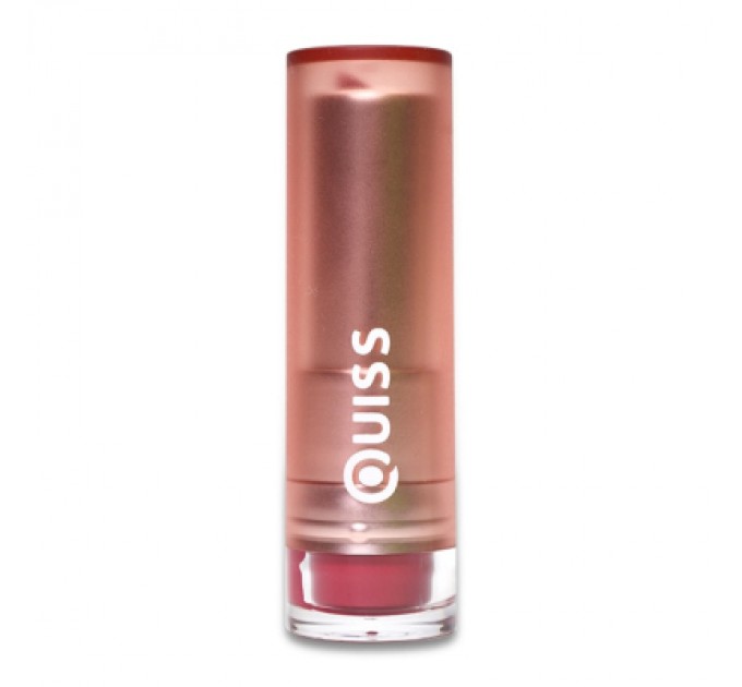 Quiss Помада для губ Quiss Matt Joy 04 (4823097107133)
