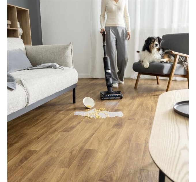 Rowenta Пилосос Rowenta GZ5736E0