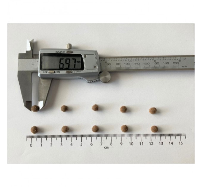 Brit Care Сухий корм для кішок Brit Care Cat GF Kitten Gentle Digestion Strong Immunity з лососем 2 кг (8595602565047)