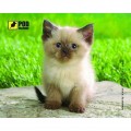 Pod Mishkou Килимок для мишки Pod Mishkou Сіамський котик