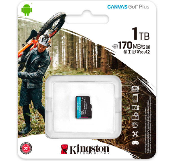 Kingston Карта пам'яті Kingston 1TB microSDXC сlass 10 UHS-I U3 V30 A2 Canvas Go Plus G4 (SDCG4/1TBSP)