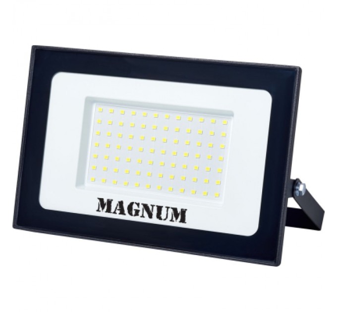 MAGNUM Прожектор MAGNUM FL12 ECO LED 100Вт slim 6500К IP65 (90018087)