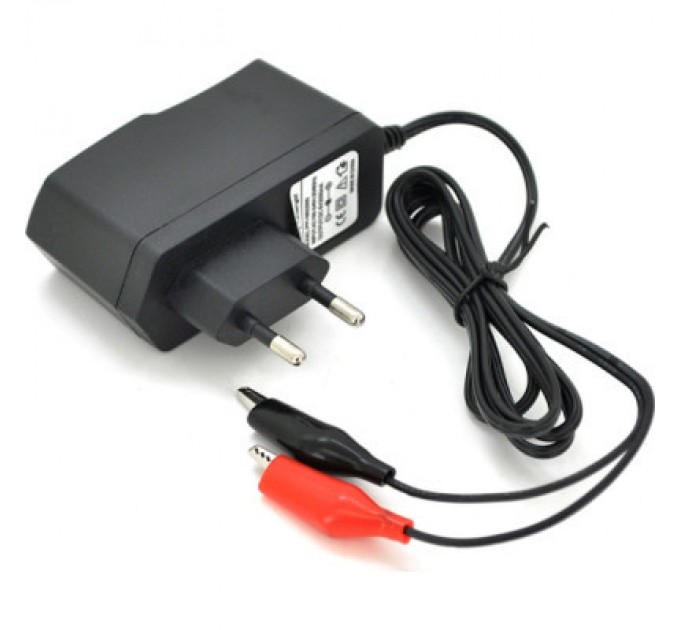 Merlion Мережевий зарядний пристрій для АКБ Merlion PPI-602000