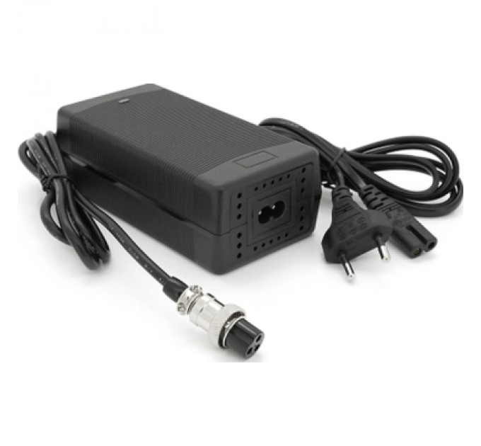 Voltronic Мережевий зарядний пристрій для АКБ Voltronic LiFePO4 12V 4S 10A (YT-SJT-1468-GX12)