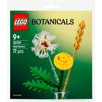 Конструктор LEGO Botanicals Польові квіти (30701)