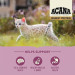 ACANA Сухий корм для кішок ACANA Highest Protein Kitten Recipe 1.8 кг (0064992723255)