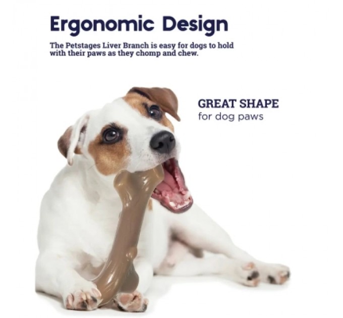 Petstages Іграшка для собак Petstages Гілка з ароматом печінки середня (0700603686105)
