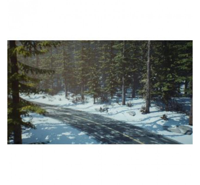 Гра Sony Life is Strange 2 [PS4, English version] (SLIS24EN01)