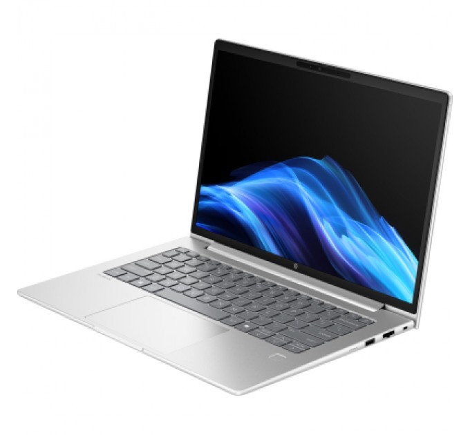 HP Ноутбук HP ProBook 4 G1i (C44ZMET)