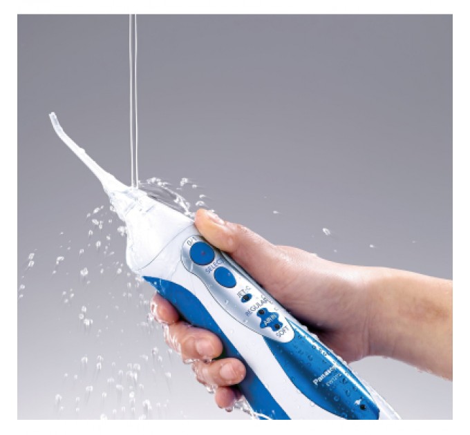 Panasonic Іригатор Panasonic EW1211A321