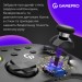 GamePro Геймпад GamePro із зарядною станцією BT 5.3/USB/2.4 ГГц (Switch/PC/iOS/Android) RGB Black (GPX13BDOC)