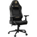 Cougar Крісло для геймерів Cougar Explore Royal F Black