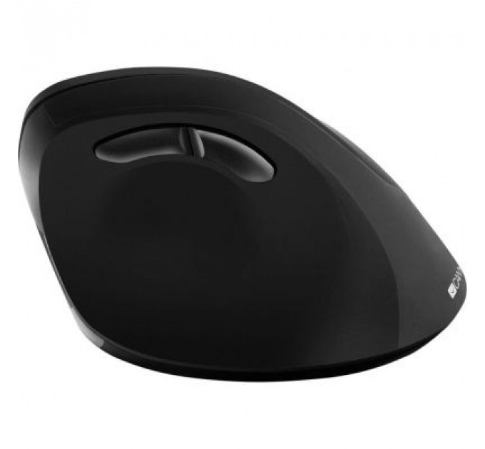 Мишка Canyon CNS-CMSW16B Wireless Black (CNS-CMSW16B)