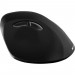 Мишка Canyon CNS-CMSW16B Wireless Black (CNS-CMSW16B)
