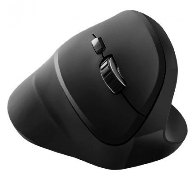 Мишка Canyon CNS-CMSW16B Wireless Black (CNS-CMSW16B)
