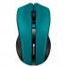 Мишка Canyon MW-5 Wireless Green-Black (CNE-CMSW05G)